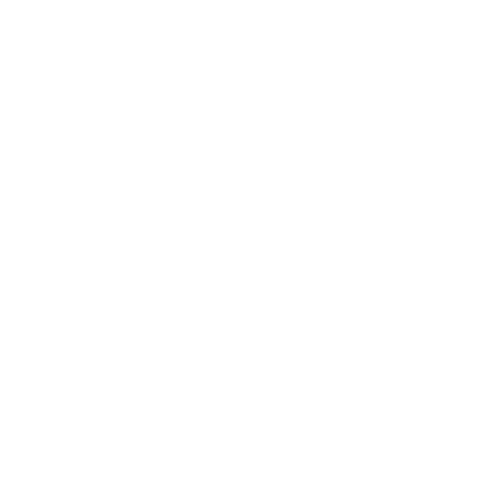 Das Logo Bogner