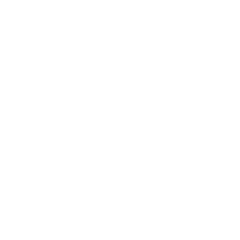 Das Logo Diesel