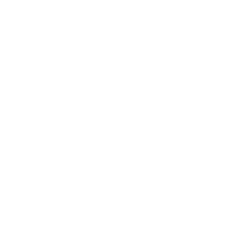 Das Logo Swarovski
