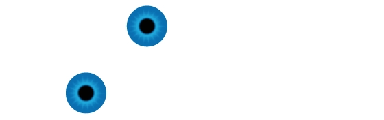 Optik Moldaschl Logo